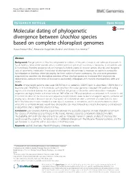 Molecular Dating of Phylogenetic Divergence Between Urochloa