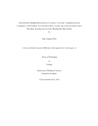 Semiochemical-Mediated Interactions of an Invasive Leaf Miner, Caloptilia Fraxinella (Lepidoptera: Gracillariidae), on a Non-Native Host, Fraxinus Spp