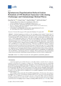 Spontaneous Depolarization-Induced Action Potentials of ON-Starburst Amacrine Cells During Cholinergic and Glutamatergic Retinal Waves