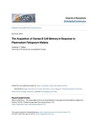 The Acquisition of Human B Cell Memory in Response to Plasmodium Falciparum Malaria