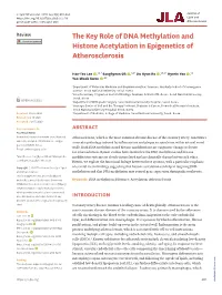 The Key Role of DNA Methylation and Histone Acetylation in Epigenetics of Atherosclerosis