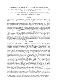 Homozygosity Mapping in Sheep Affected by Cervicothoracic Vertebral Subluxation: Candidate Gene Identification and Novel Mutation Investigation
