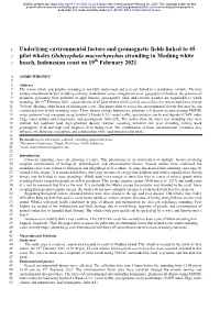 Underlying Environmental Factors and Geomagnetic Fields Linked to 45 Pilot