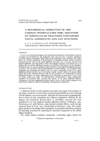 A Biochemical Dissection of the Cardiac Intercalated Disk: Isolation of Subcellular Fractions Containing Fascia Adherentes and Gap Junctions