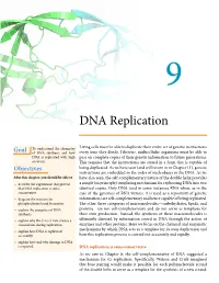 DNA Replication