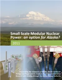 Small-Scale Modular Nuclear Power: an Option for Alaska?