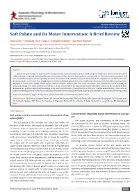 Soft Palate and Its Motor Innervation: a Brief Review