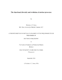 Downloaded from Using the Burrows Wheeler Aligner (BWA) Algorithm V0.7.13 (Andrews, 2010; Li and Durbin, 2009)