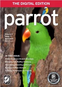 THE DIGITAL EDITION Parrot