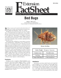 Bed Bugs Fact Sheet