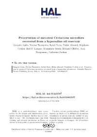 Preservation of Ancestral Cretaceous Microflora Recovered from A
