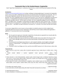 Taxonomic Key to the Saskatchewan Cryptantha Sarah Vinge-Mazer (Saskatchewan Conservation Data Centre) on Behalf of the Botanical Assessment Working Group