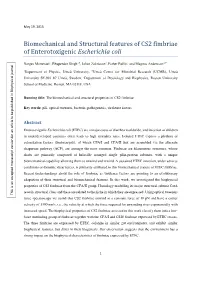 Biomechanical and Structural Features of CS2 Fimbriae of Enterotoxigenic Escherichia Coli !