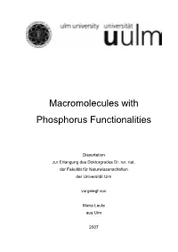 Macromolecules with Phosphorus Functionalities