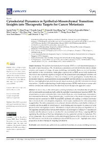 Cytoskeletal Dynamics in Epithelial-Mesenchymal Transition: Insights Into Therapeutic Targets for Cancer Metastasis