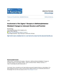 Involvement of the Sigma-1 Receptor in Methamphetamine-Mediated Changes to Astrocyte Structure and Function" (2020)