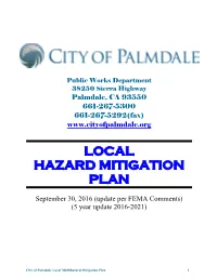 Local Hazard Mitigation Plan