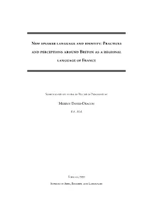Practices and Perceptions Around Breton As a Regional Language Of
