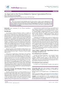 An Approach to the Factors Related to Sperm Capacitation Process