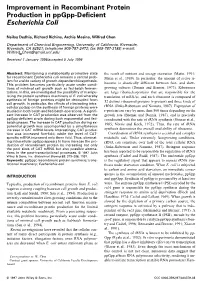 Improvement in Recombinant Protein Production in Ppgpp-Deficient Escherichia Coli