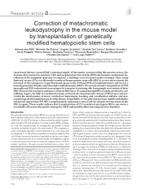 Correction of Metachromatic Leukodystrophy in the Mouse Model by Transplantation of Genetically Modified Hematopoietic Stem Cells