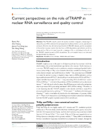 Current Perspectives on the Role of TRAMP in Nuclear RNA Surveillance and Quality Control