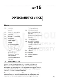 Development of Chick Development of Chick