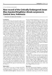 New Record of the Critically Endangered Javan Blue-Banded Kingfisher Alcedo Euryzona in Central Java, Indonesia
