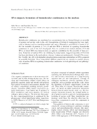 RNA Impacts Formation of Biomolecular Condensates in the Nucleus