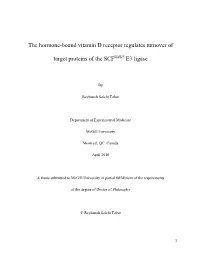 The Hormone-Bound Vitamin D Receptor Regulates Turnover of Target