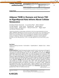 Adipose TSHB in Humans and Serum TSH in Hypothyroid Rats Inform About Cellular Senescence