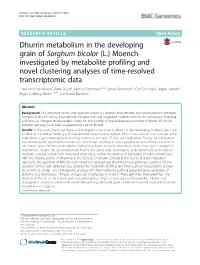 Dhurrin Metabolism in the Developing Grain of Sorghum