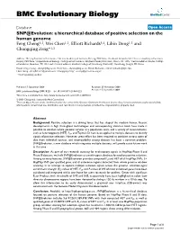 SNP@ Evolution: a Hierarchical Database of Positive Selection On