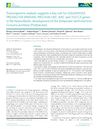 Transcriptomic Analysis Suggests a Key Role for SQUAMOSA