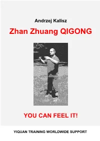 Zhan Zhuang QIGONG