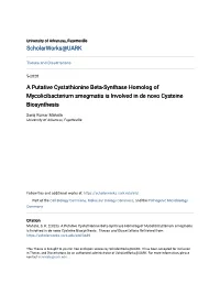 A Putative Cystathionine Beta-Synthase Homolog of Mycolicibacterium Smegmatis Is Involved in De Novo Cysteine Biosynthesis
