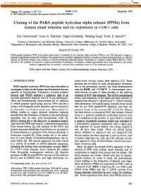 Cloning of the PABA Peptide Hydrolase Alpha Subunit (Ppha) from Human Small Intestine and Its Expression in COS-1 Cells