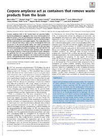Corpora Amylacea Act As Containers That Remove Waste Products from the Brain