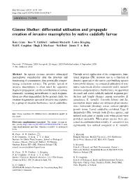 Differential Utilisation and Propagule Creation of Invasive Macrophytes by Native Caddisﬂy Larvae