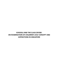 Schools and the Class Divide: an Examination of Children's Self