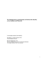 The Pathogenomics and Evolution of Anthrax-Like Bacillus Cereus Isolates and Plasmids
