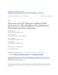 Dissection of a QTL Hotspot on Mouse Distal Chromosome 1 That