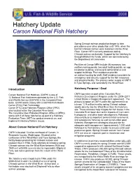 Hatchery Update
