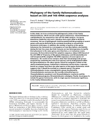 Phylogeny of the Family Halomonadaceae Based on 23S and 16S Rdna Sequence Analyses