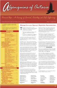 AOO Newsletter