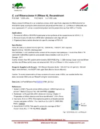 E. Coli Ribonuclease H (Rnase H), Recombinant # 02-060 1,000 Units, # 02-060-5 5 X 1,000 Units