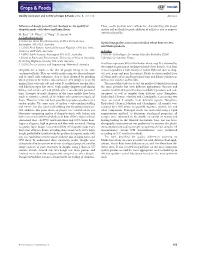 Influence of Dough Porosity and Rheology on the Quality of Chapattis
