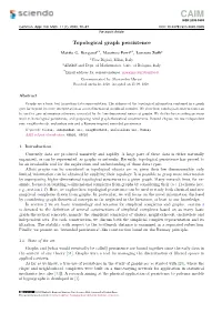 Topological Graph Persistence