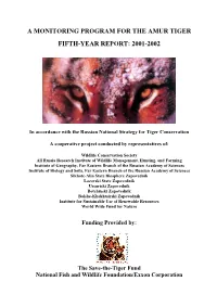 First-Year Report