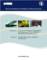 Recommendations for Bridge and Tunnel Security